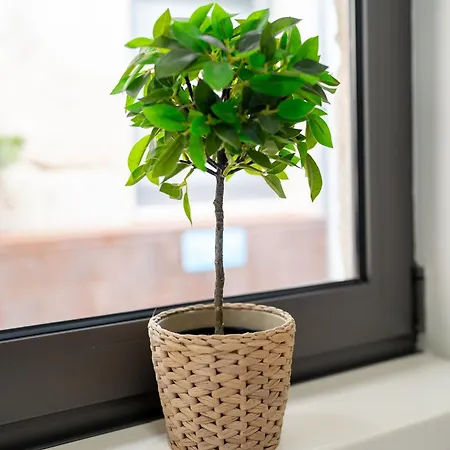 ヴィラ Casa Douro